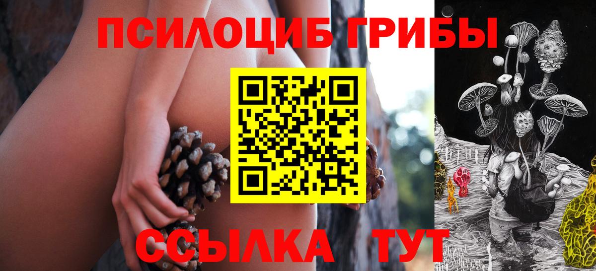 Дедовск  Псилоцибиновые грибы Magic Shrooms  Вход с VPN 